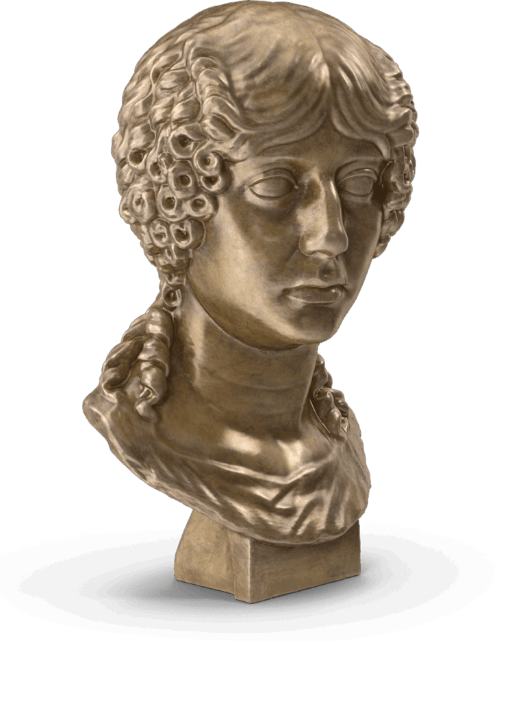 Dedicación y especialización